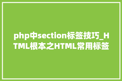 php中section标签技巧_HTML根本之HTML常用标签