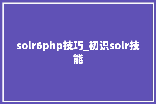 solr6php技巧_初识solr技能