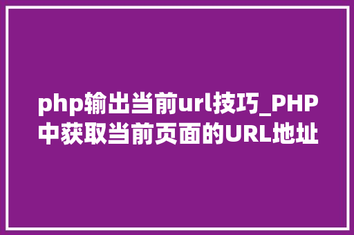 php输出当前url技巧_PHP中获取当前页面的URL地址的方法