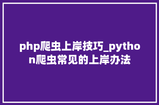 php爬虫上岸技巧_python爬虫常见的上岸办法
