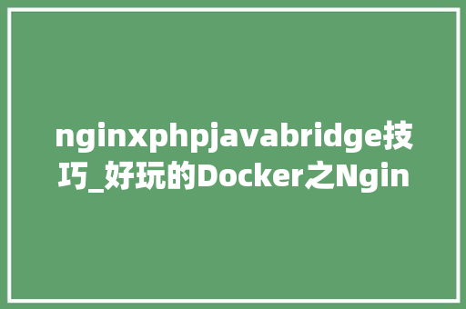 nginxphpjavabridge技巧_好玩的Docker之NginxProxyManager自动申请SSL证书教程