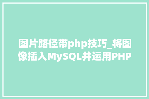 图片路径带php技巧_将图像插入MySQL并运用PHP检索图像