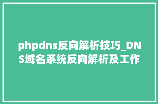 phpdns反向解析技巧_DNS域名系统反向解析及工作事理