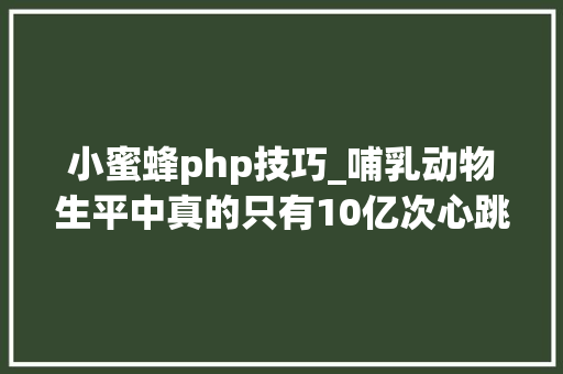 小蜜蜂php技巧_哺乳动物生平中真的只有10亿次心跳吗人类为什么有25亿次