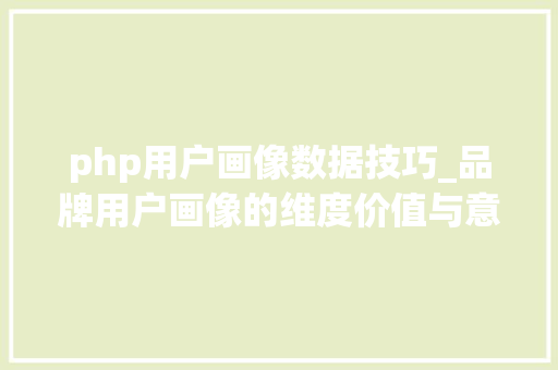 php用户画像数据技巧_品牌用户画像的维度价值与意义