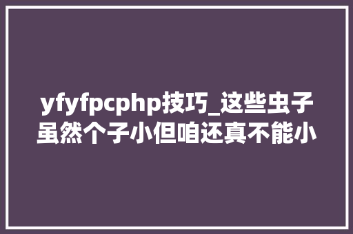 yfyfpcphp技巧_这些虫子虽然个子小但咱还真不能小瞧了它们