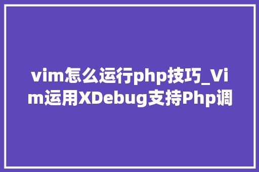 vim怎么运行php技巧_Vim运用XDebug支持Php调试