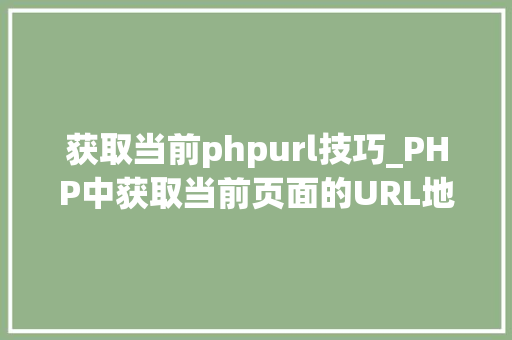 获取当前phpurl技巧_PHP中获取当前页面的URL地址的方法