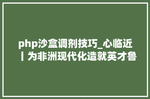 php沙盒调剂技巧_心临近丨为非洲现代化造就英才鲁班工坊在行动