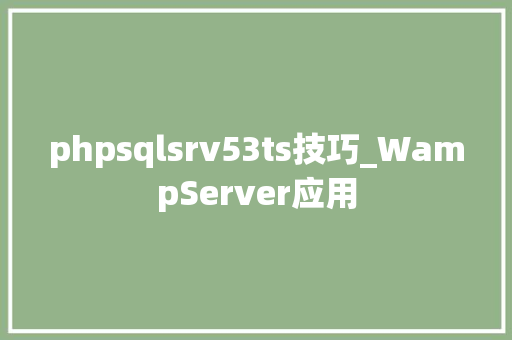 phpsqlsrv53ts技巧_WampServer应用