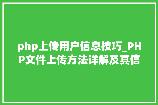 php上传用户信息技巧_PHP文件上传方法详解及其信息解析附视频