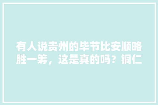 有人说贵州的毕节比安顺略胜一筹，这是真的吗？铜仁实力又如何「贵州百度seo整站优化」
