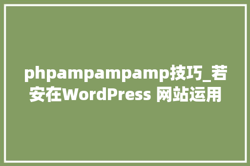 phpampampamp技巧_若安在WordPress 网站运用Google AMP 技能提升页面开启速度传授教化
