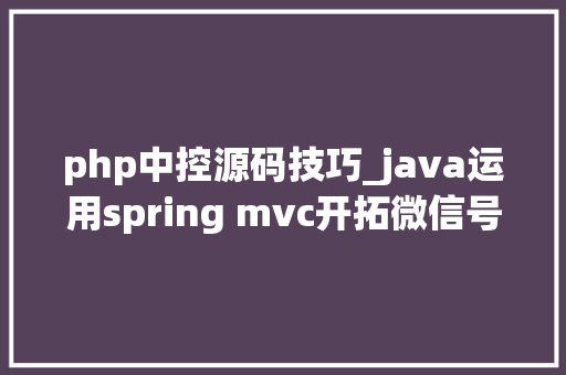 php中控源码技巧_java运用spring mvc开拓微信号获取token