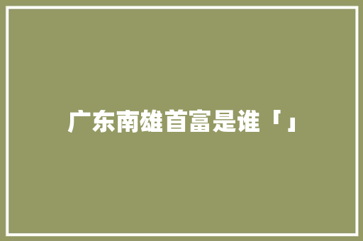 广东南雄首富是谁「」