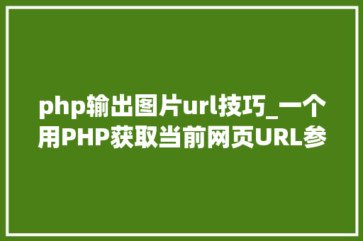 php输出图片url技巧_一个用PHP获取当前网页URL参数的实例