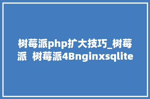 树莓派php扩大技巧_树莓派  树莓派4Bnginxsqlite3php73typecho搭建轻量级博客