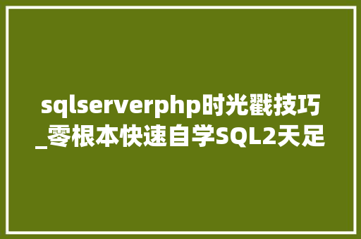 sqlserverphp时光戳技巧_零根本快速自学SQL2天足矣