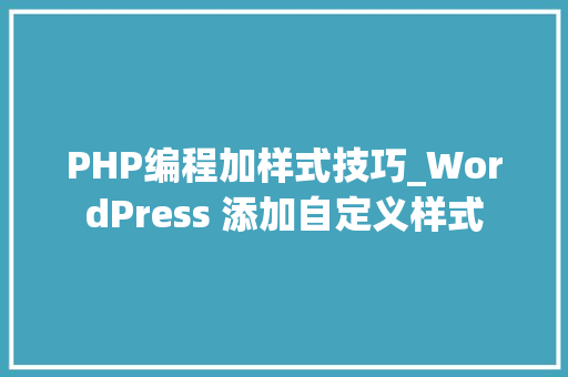 PHP编程加样式技巧_WordPress 添加自定义样式