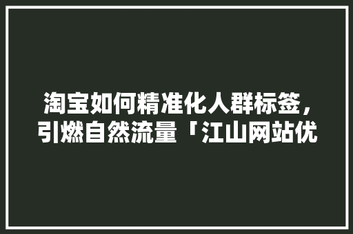 淘宝如何精准化人群标签，引燃自然流量「江山网站优化」