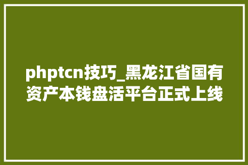 phptcn技巧_黑龙江省国有资产本钱盘活平台正式上线