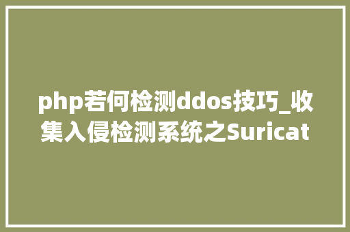 php若何检测ddos技巧_收集入侵检测系统之Suricata七DDOS流量检测模型