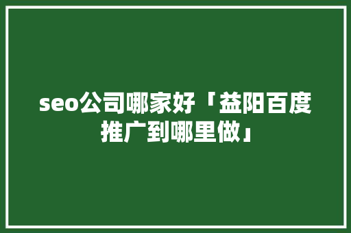 seo公司哪家好「益阳百度推广到哪里做」