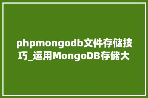 phpmongodb文件存储技巧_运用MongoDB存储大年夜文件