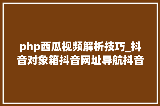 php西瓜视频解析技巧_抖音对象箱抖音网址导航抖音数据分析等等