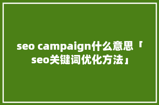 seo campaign什么意思「seo关键词优化方法」