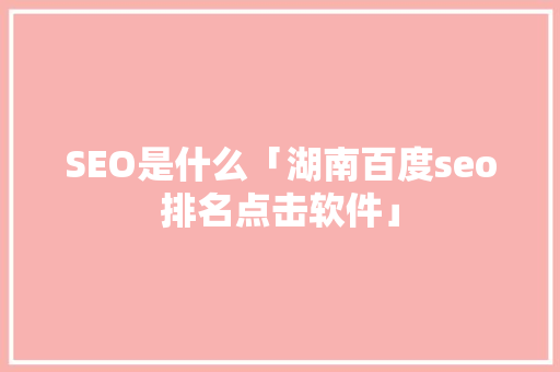 SEO是什么「湖南百度seo排名点击软件」