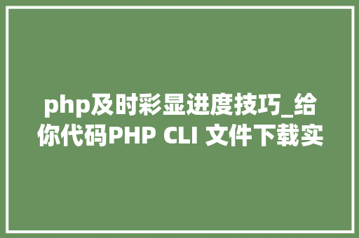 php及时彩显进度技巧_给你代码PHP CLI 文件下载实时彩显进度