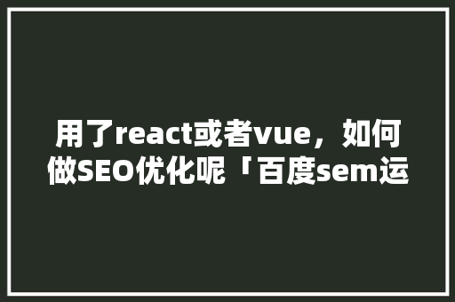用了react或者vue，如何做SEO优化呢「百度sem运营优化」