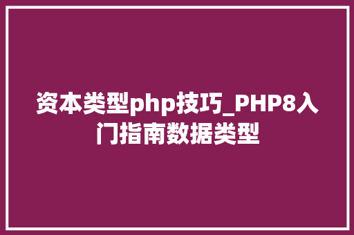 资本类型php技巧_PHP8入门指南数据类型