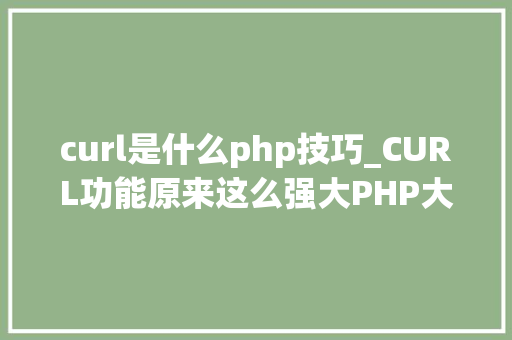 curl是什么php技巧_CURL功能原来这么强大PHP大年夜神都在用