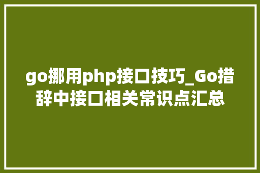 go挪用php接口技巧_Go措辞中接口相关常识点汇总