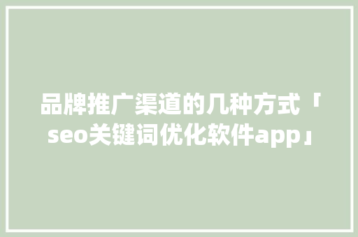 品牌推广渠道的几种方式「seo关键词优化软件app」