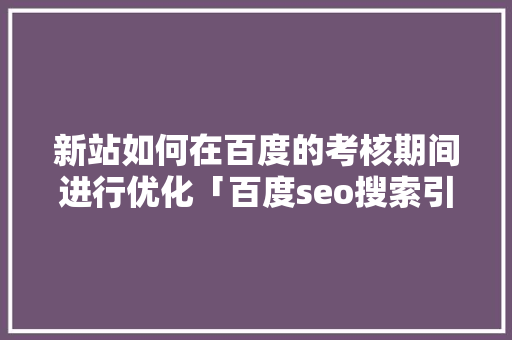 新站如何在百度的考核期间进行优化「百度seo搜索引擎优化」