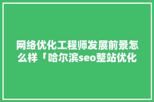 网络优化工程师发展前景怎么样「哈尔滨seo整站优化」