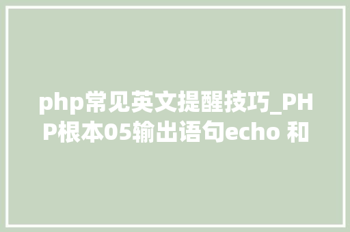 php常见英文提醒技巧_PHP根本05输出语句echo 和 print