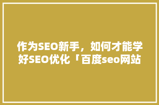 作为SEO新手，如何才能学好SEO优化「百度seo网站优化 网络服务」