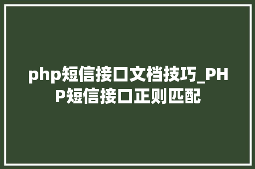php短信接口文档技巧_PHP短信接口正则匹配