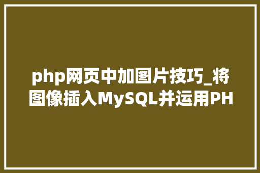php网页中加图片技巧_将图像插入MySQL并运用PHP检索图像