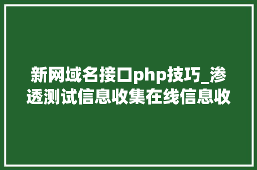 新网域名接口php技巧_渗透测试信息收集在线信息收集对象整理