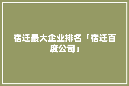 宿迁最大企业排名「宿迁百度公司」