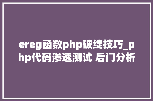 ereg函数php破绽技巧_php代码渗透测试 后门分析篇