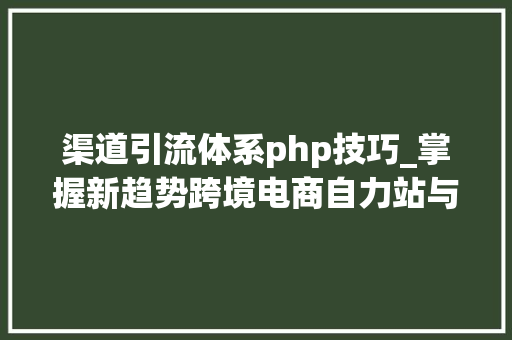 渠道引流体系php技巧_掌握新趋势跨境电商自力站与主流媒体引流开启蓝海风口新时代