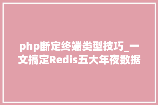 php断定终端类型技巧_一文搞定Redis五大年夜数据类型及应用场景