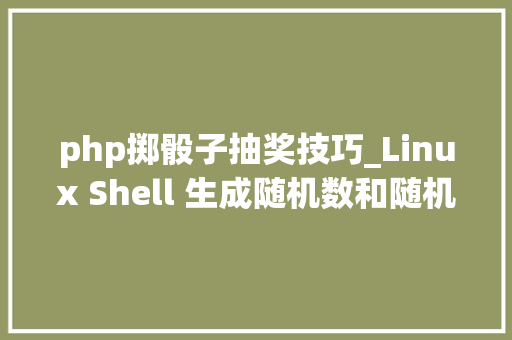 php掷骰子抽奖技巧_Linux Shell 生成随机数和随机字符串