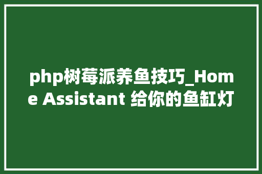 php树莓派养鱼技巧_Home Assistant 给你的鱼缸灯加点小确幸